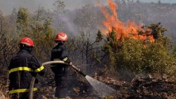 الحماية المدنية تعلن عن إخماد 18 حريق من بين 19 حريق
