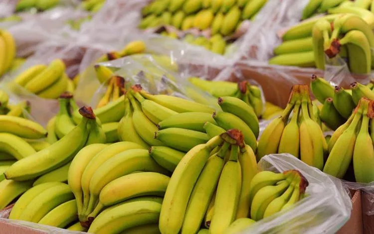 حجز أزيد من5قناطير من الموز كانت معروضة للبيع بسعر تجاوز قيمته المحددة