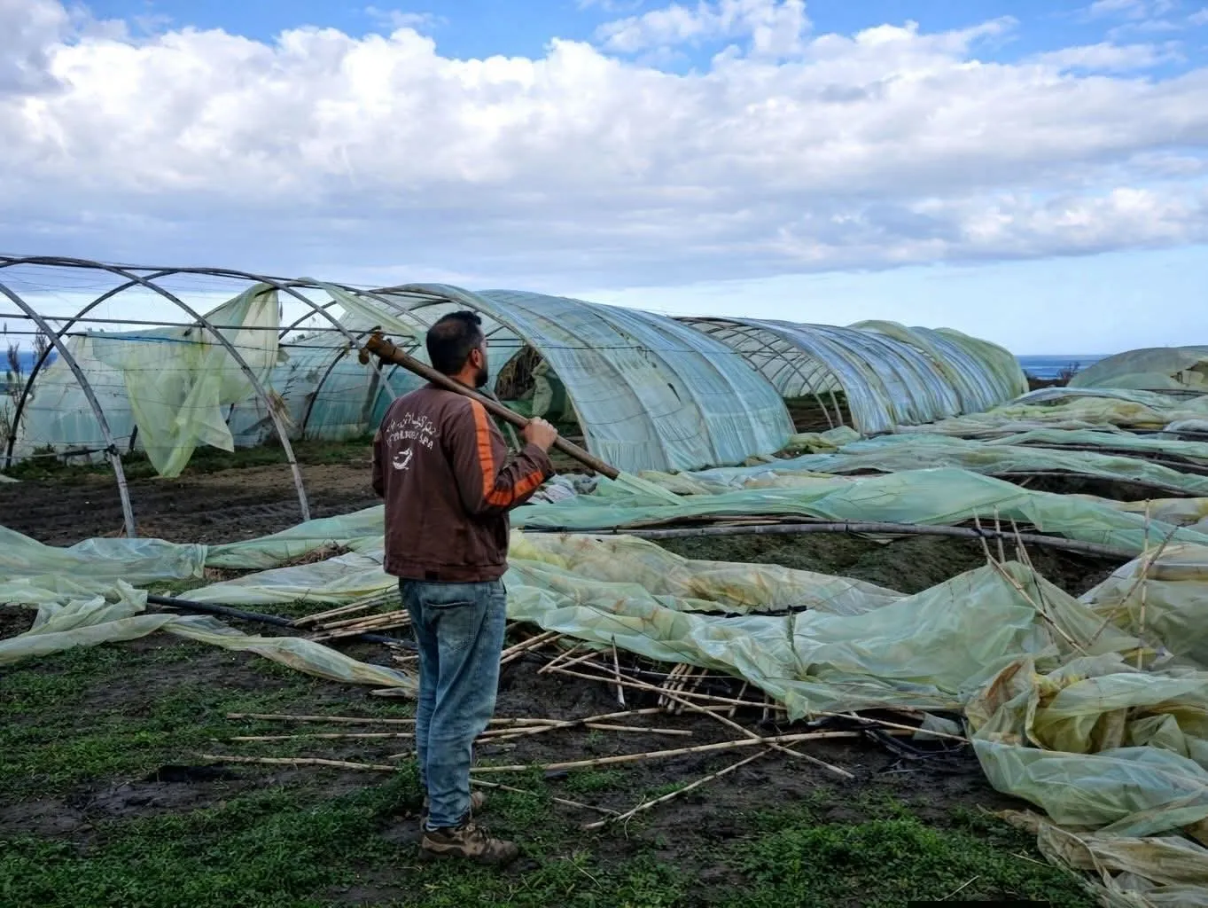 وزارة الفلاحة تشرع في إحصاء خسائر الفلاحين والمربين المتضررين