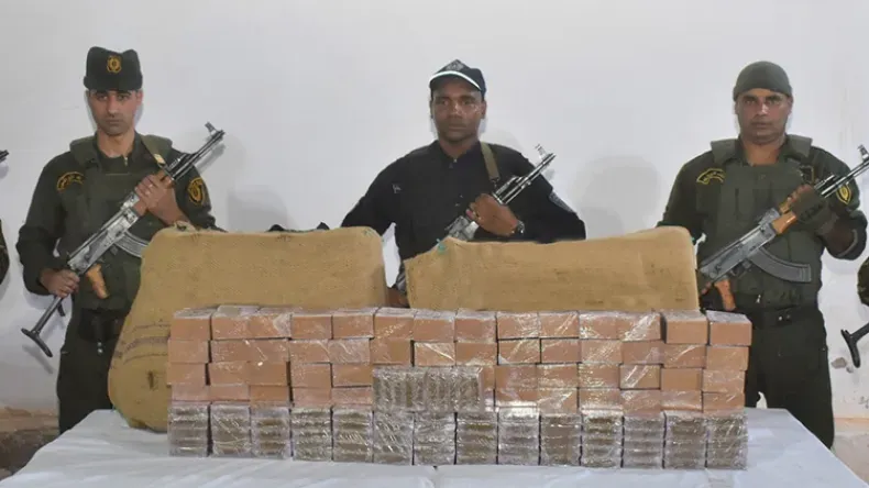 حجز 19 طنّا من الكيف و37 مليون قرص مهلوس بجنوب غرب الجزائر