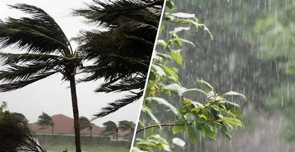 أمطار رعدية ورياح قوية في هذه الولايات