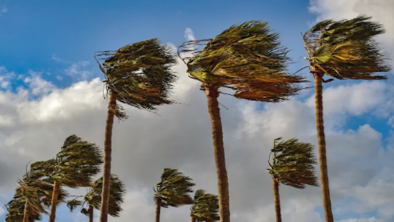 تحذير.. رياح جد قوية تتعدى 120كلم/سا في هذه الولايات