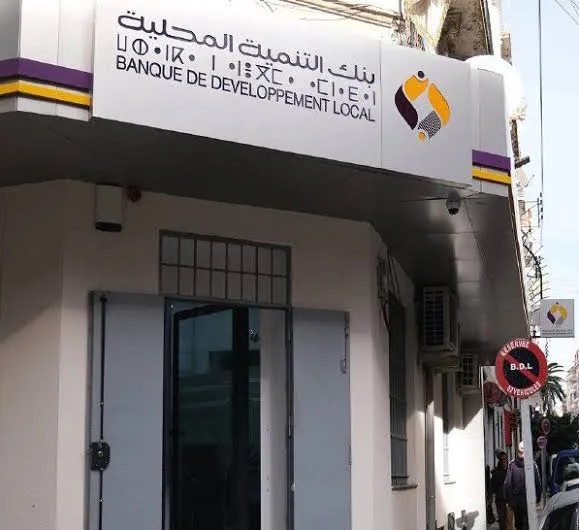 بنك التنمية المحلية: أزيد من 7 ملايين عملية دفع إلكتروني منذ مطلع 2025