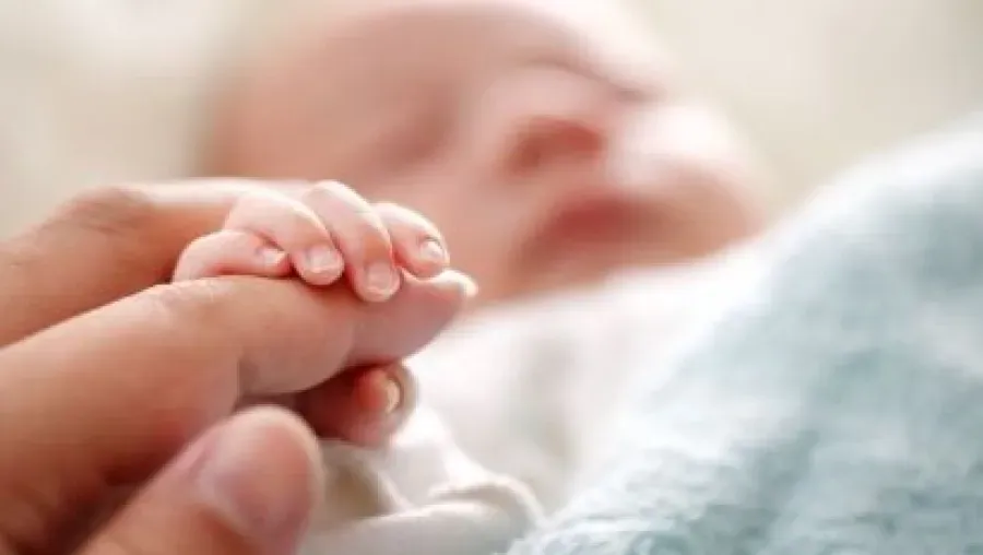 بشرى سارة.. عطلة أمومة بـ5 أشهر كاملة وبأجر كامل