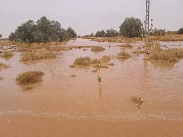 الحماية المدنية: انتشال جثتي شخصين في إليزي