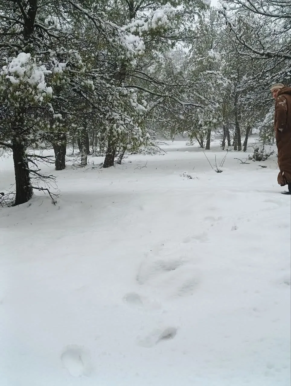 ثلوج على المرتفعات التي يتجاوز علوها 1200 متر