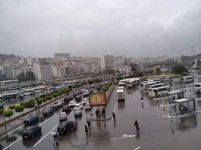 المنظمة الوطنية للناقلين الجزائريين تدعو إلى إنهاء الإضراب