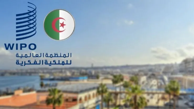 مكتبWIPOيشيد بجهود الجزائر في دعم المؤسسات الصغيرة والمتوسطة