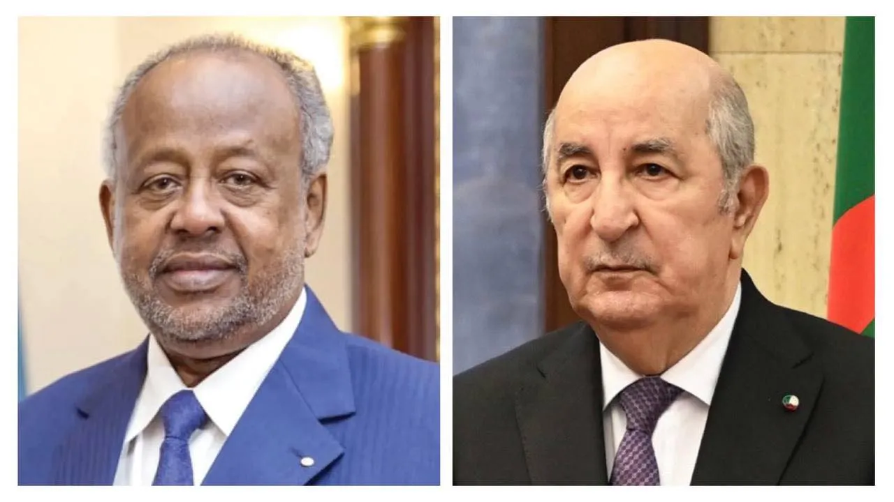 رئيس جيبوتي يؤكد حرصه على التعاون بما يخدم مصالح الشعبين