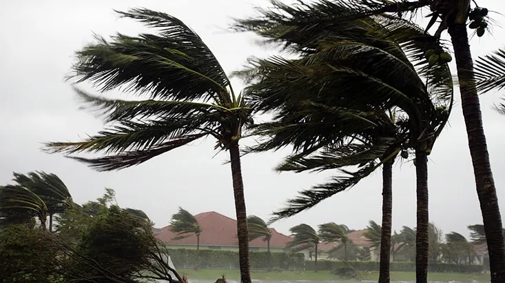 نشريات خاصة تحذر من هبوب رياح جد قوية تصل سرعتها إلى 100 كلم/سا