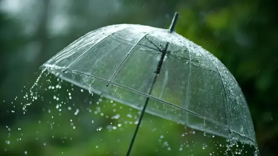 أمطار رعدية غزيرة في هذه الولايات