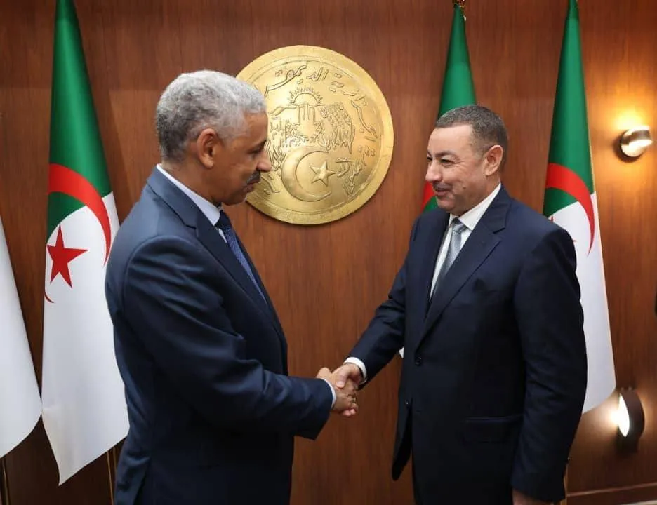 سعيود يستقبل رئيس مجموعة البنك الإفريقي لللتنمية