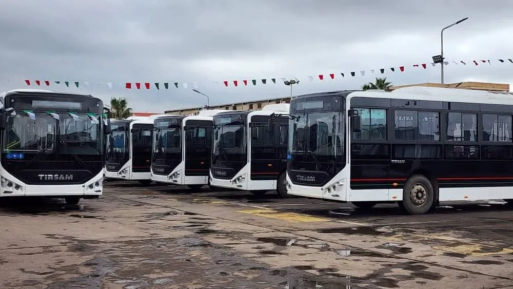 وهران: 50 حافلة من علامة تيرصام تدخل حيز الخدمة