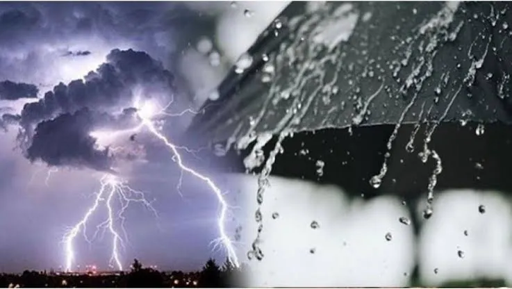 أمطار رعدية غزيرة في هذه الولايات