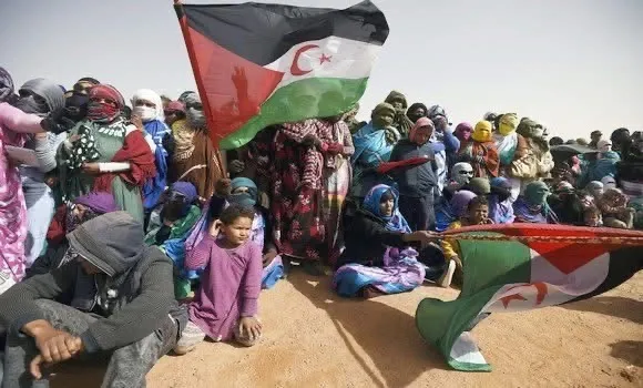 ألمانيا:الكشف عن انتهاكات الاحتلال المغربي في الأراضي الصحراوية المحتلة