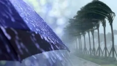 أمطار رعدية ورياح قوية مرفوقة بتطاير للرمال
