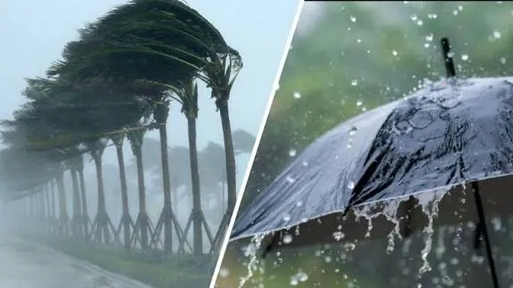 رياح قوية وأمطار غزيرة في هذه الولايات