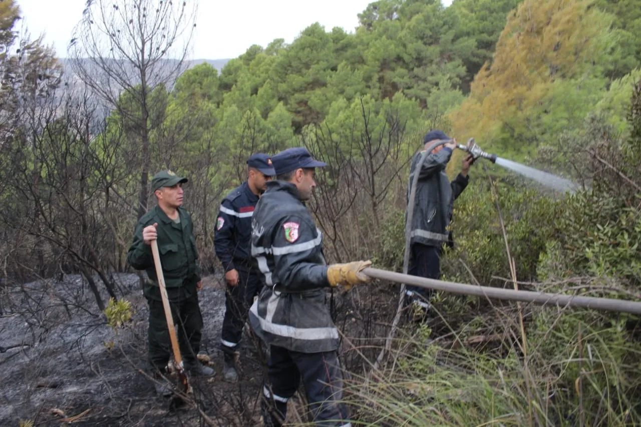 الحالة العامة للحرائق التي مست عدد من الغابات