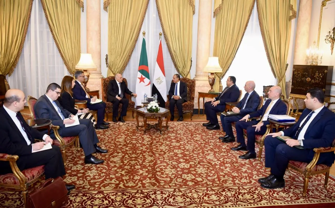 عطاف يجتمع بنظيره المصري   بدر عبد العاطيفي