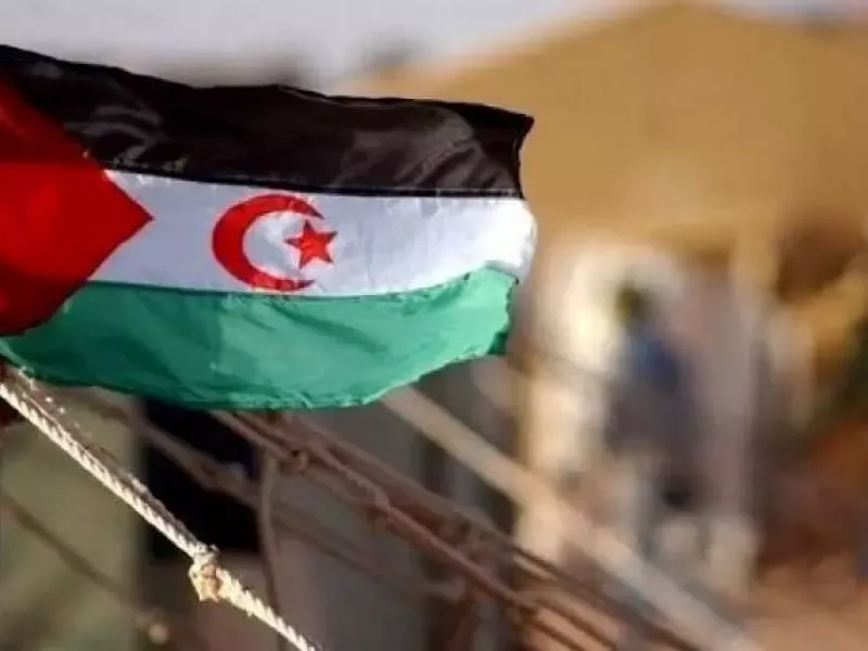 مجلس الأمن لم يعتمد الأطروحات المغربية وملف الصحراء الغربية لم يطو