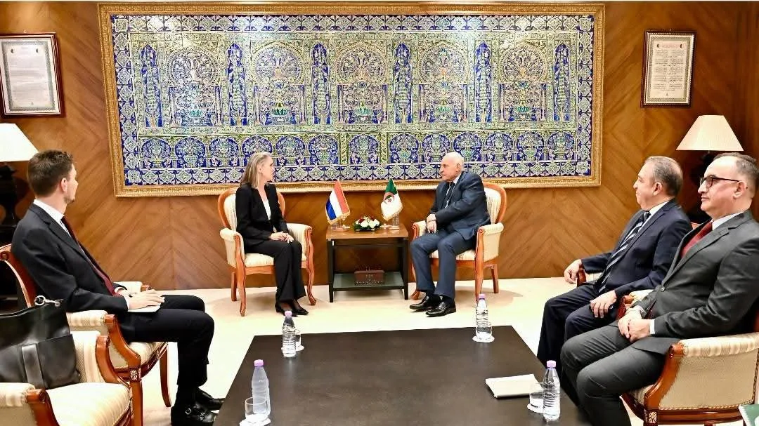 وزير الخارجية يستقبل سفيرة هولندا في زيارة وداع