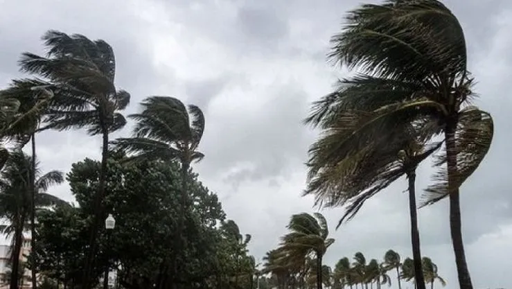 رياح قوية في هذه الولايات