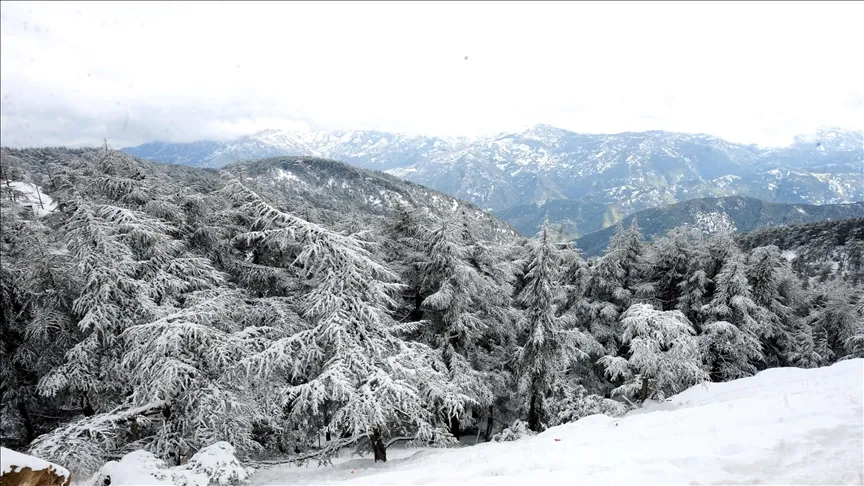 ثلوج كثيفة على المرتفعات بداية من اليوم