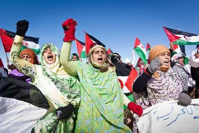 دعوات برلمانية في بريطانيا لدعم حق الشعب الصحراوي في تقرير مصيره