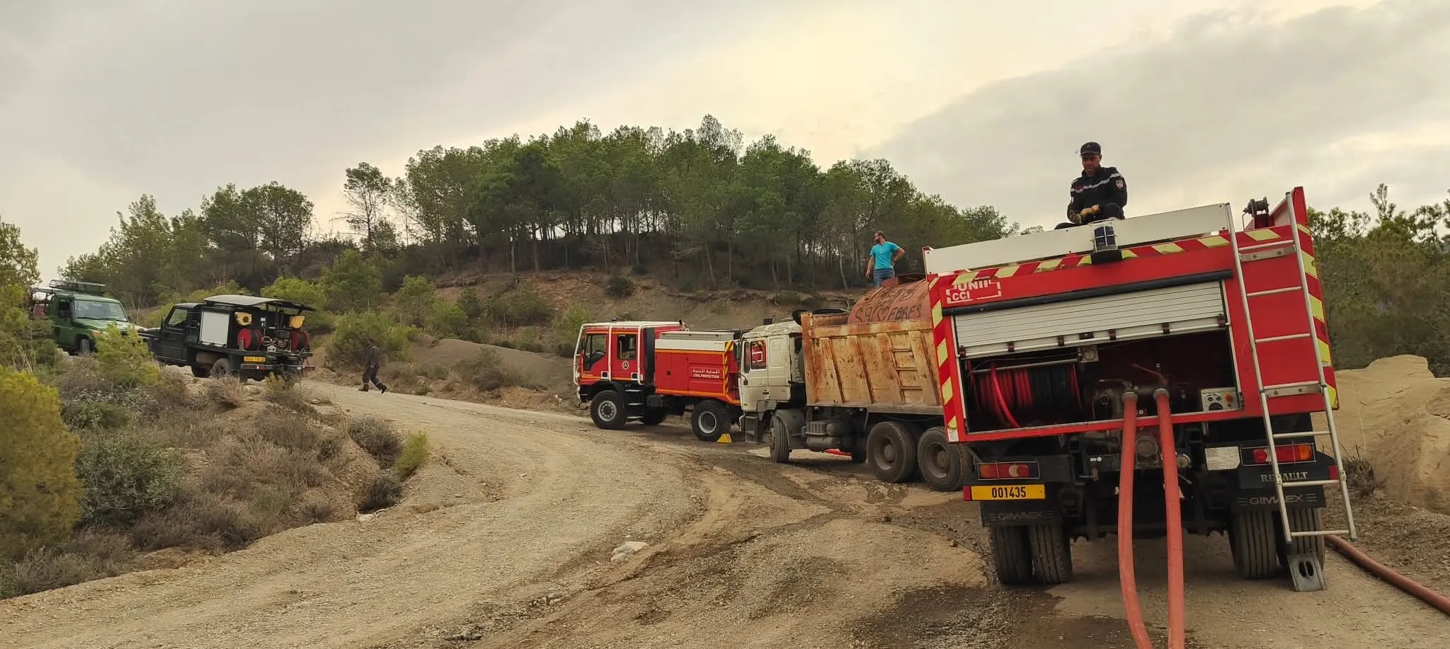 فرق الحماية تسيطر على حرائق تيبازة وتواصل عملية المراقبة