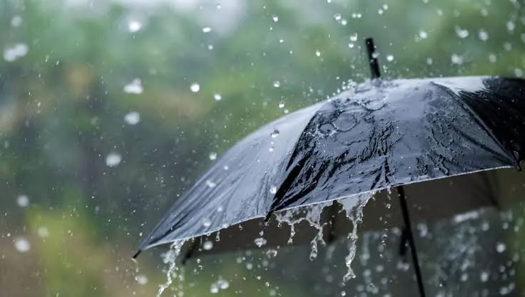 أمطار رعدية في العديد من الولايات