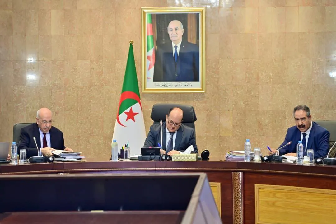 مكافحة السرطان والعلاج في الخارج..ملفات هامة على طاولة الوزير الأول