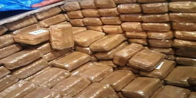 الشرطة الاسبانية تحجز 15 طنا من الحشيش مصدرها المغرب