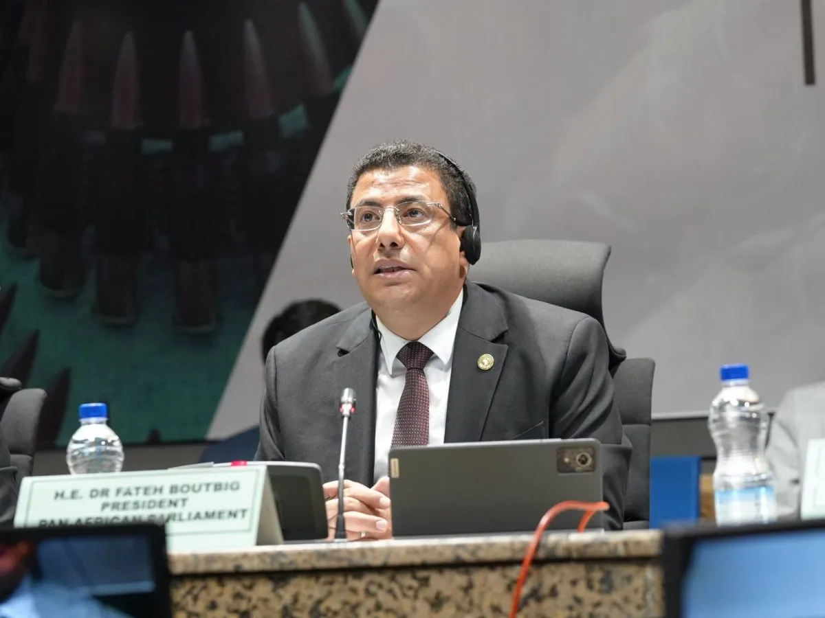 بناء السلم وصون الأمن والاستقرار في إفريقيا مسؤولية قارية مشتركة