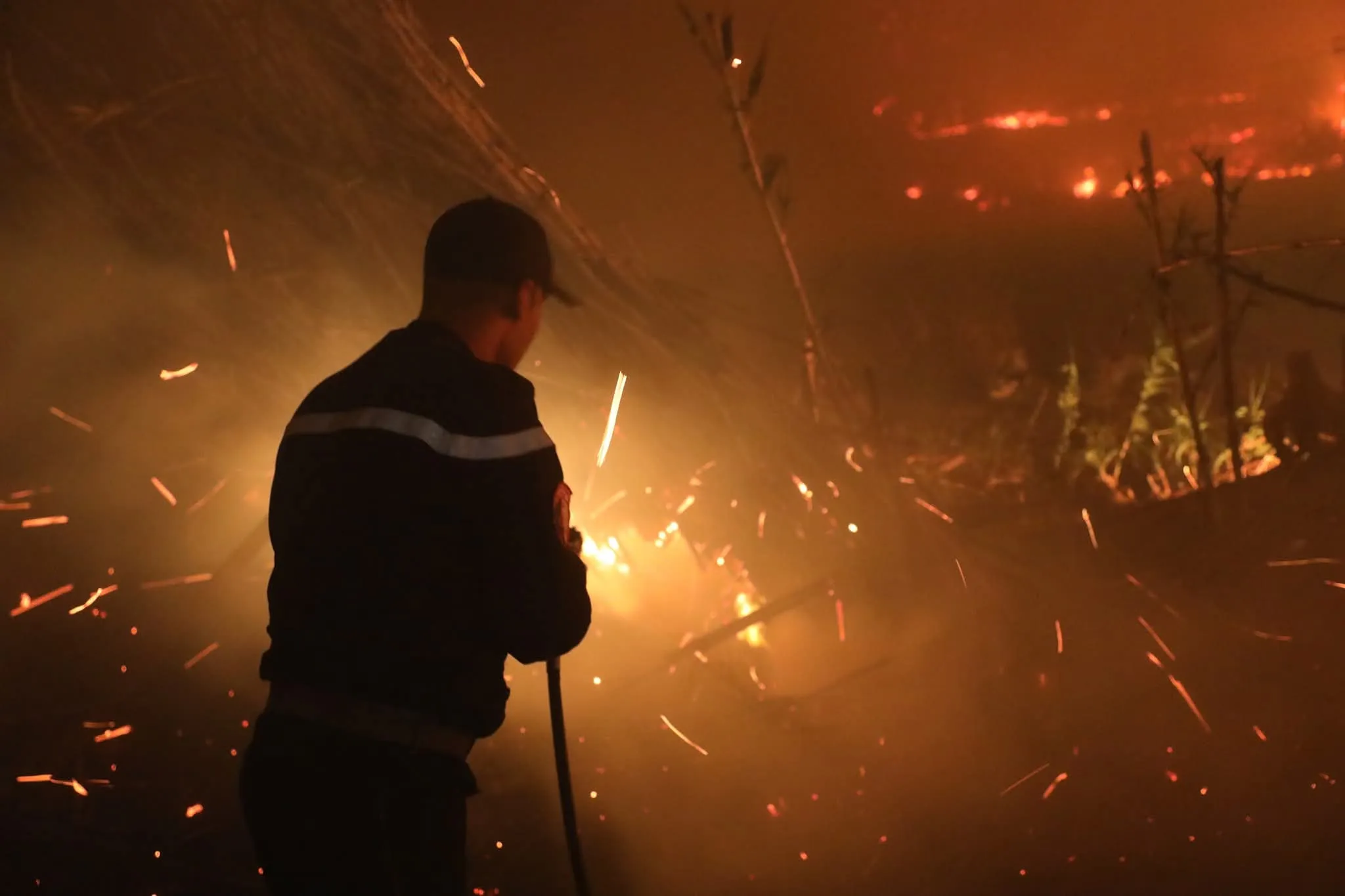 توقيف عصابة أضرمت النيران عمدا في غابات تيبازة