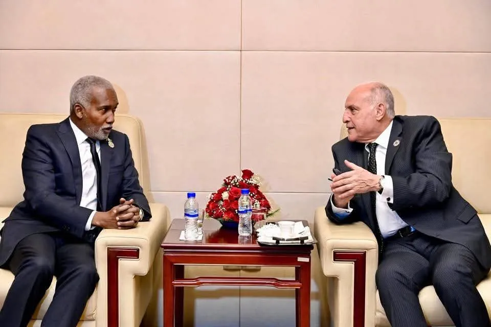 الجزائر-نيجيريا: استعراض الأوضاع الراهنة في منطقة الساحل الصحراوي