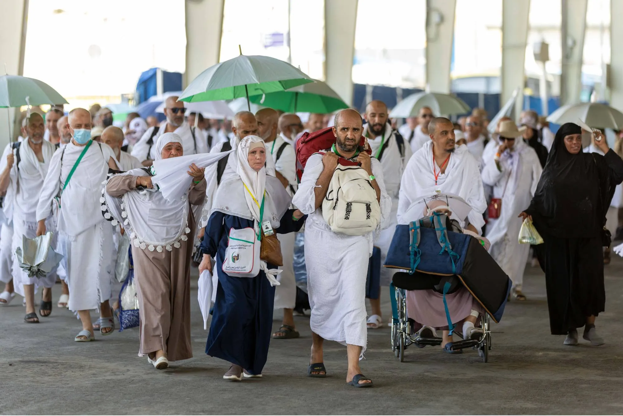 انطلاق عملية تصعيد الحجاج الجزائريين إلى صعيد عرفات
