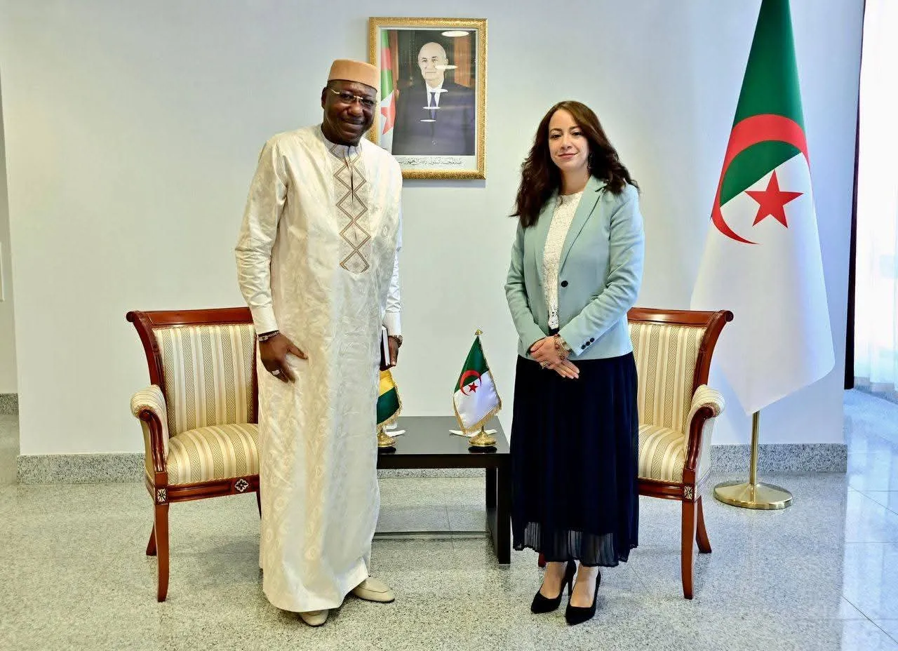 منصوري تستقبل سفيري الصومال وغينيا