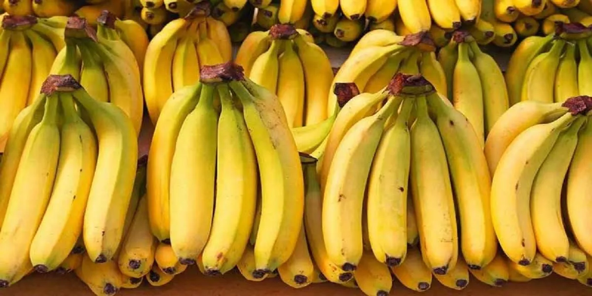 حجز شاحنة محمّلة بأكثر من قنطار من الموز الموجّه للمضاربة بأرزيو