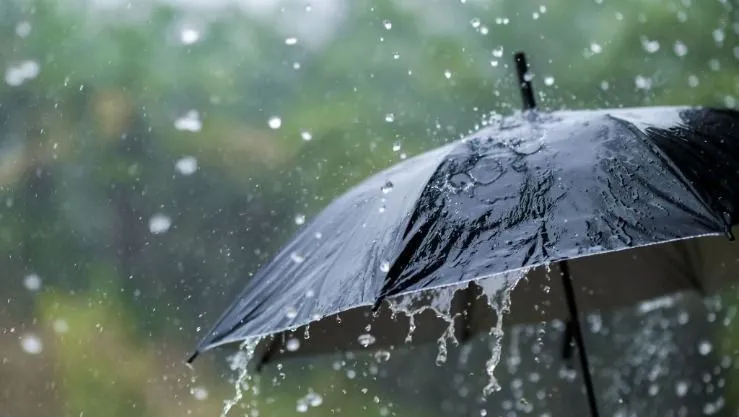 أمطار رعدية في هذه الولايات
