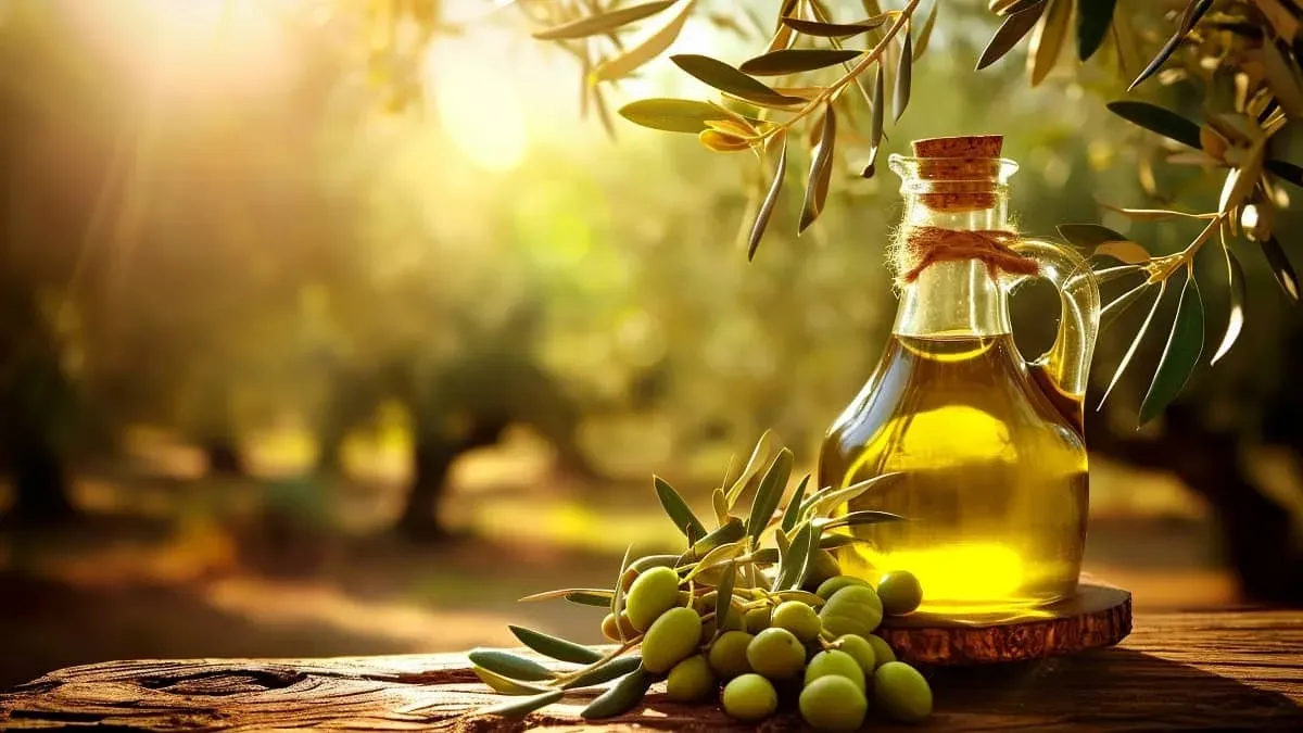 إيطاليا: زيت زيتون جزائري يفوز بجائزة أجود زيت زيتون بيولوجي في العالم