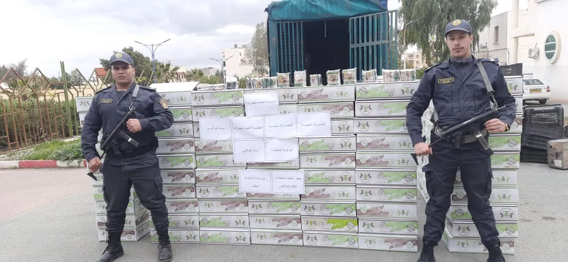 إحباط محاولة تهريب كمية ضخمة من الشمة ومواد غذائية مدعمة