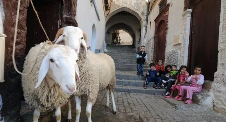 الجمعة 6 جوان أول أيام عيد الأضحى المبارك